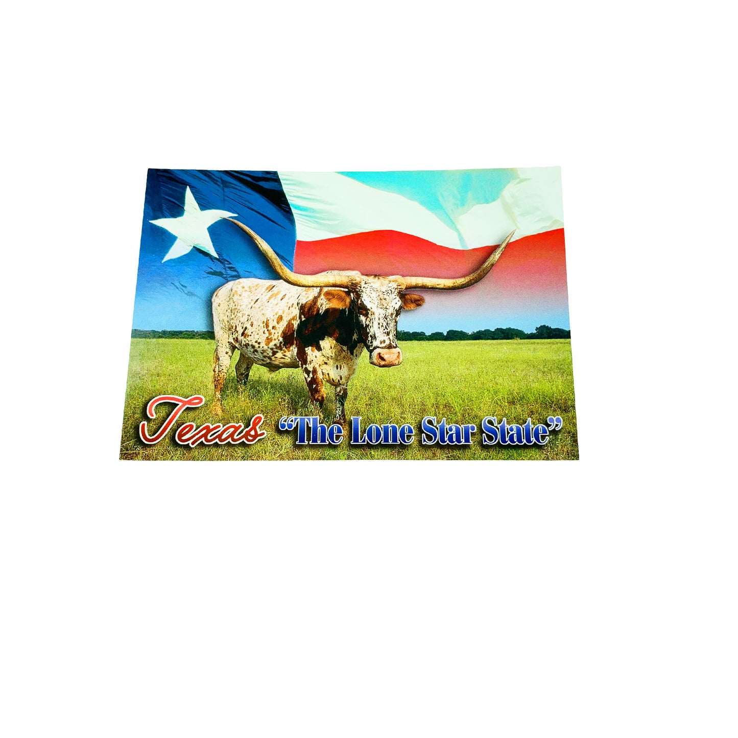 Postcard - Texas Longhorn/Flag-Souvenir-So El Paso