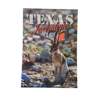 Postcard - Texas Jackalope-Souvenir-So El Paso